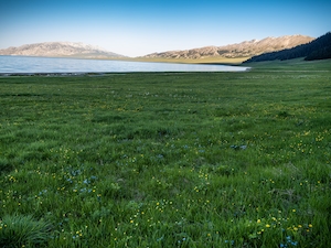зеленое гладкое поле перед озером, холмы на горизонте 