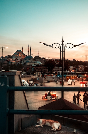 мечеть в Стамбуле на закате