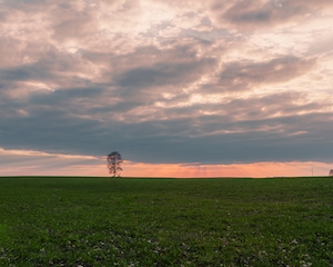 зеленое поле и небо во время заката 