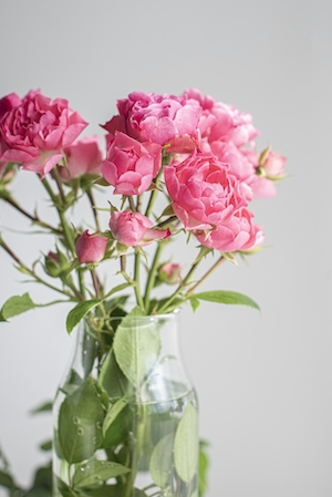 Розовые розы в вазе, крупный план 