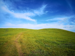 зеленое гладкое поле под голубым небом 
