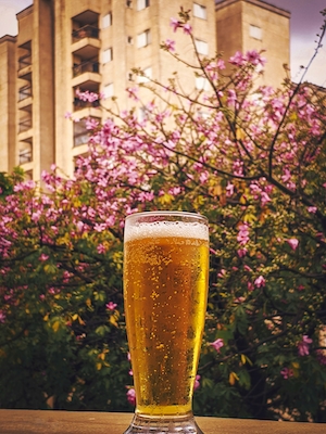 Стакан пива на фоне цветущих деревьев 
