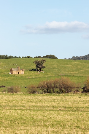панорама холмистой местности, домик на зеленом поле, редкие деревья 