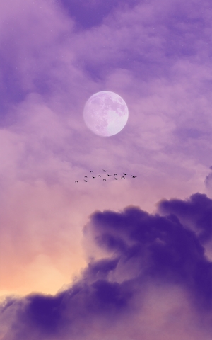 полная луна на небе во время заката в окружении облаков 