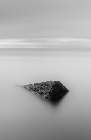 Островок в озере, черно-белая фотография 