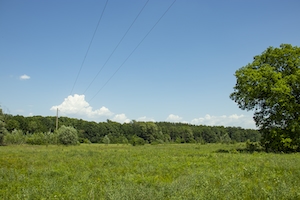 панорама сельской местности, зеленые поля и деревья 