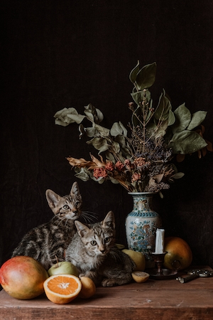 цветы в вазе, два коты на столе и фрукты 