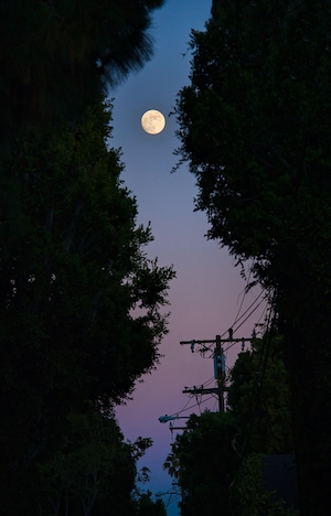 Полная луна в Беверли-Хиллз