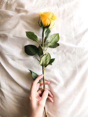 Рука, держащая желтую розу над простынями