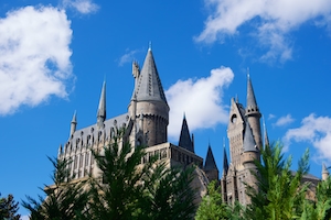 Школа чародейства и волшебства Хогвартс – Волшебный мир Гарри Поттера, Хогсмид