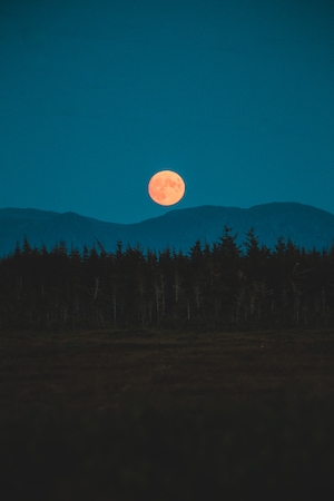 полная луна оранжевого цвета на голубом небе, лес и горы на горизонте 