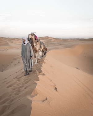 песчаная дюна, пески в пустыне, пейзаж в пустыне, человек с караваном верблюдов идет по песку 