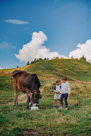дети стоят рядом с коровой на фоне холма 