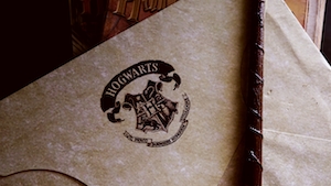 эмблема Хогвартса, атрибутика Гарри Поттера 
