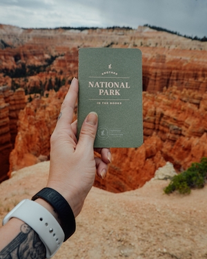 горный пейзаж, каньон днем, панорама каньона, человек держит в руке зеленую брошюру 