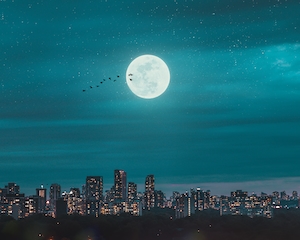 полная луна над городом, луна над зданиями ночью 