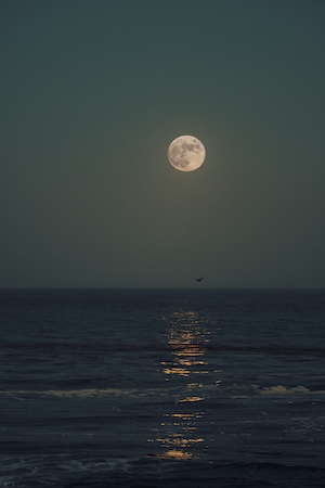 полная луна на небе над морем, лунная дорожка 
