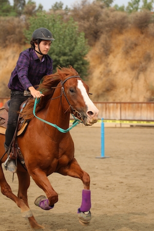 коричневая лошадь с наездником галопом несутся к финишу на скоростных бочках.