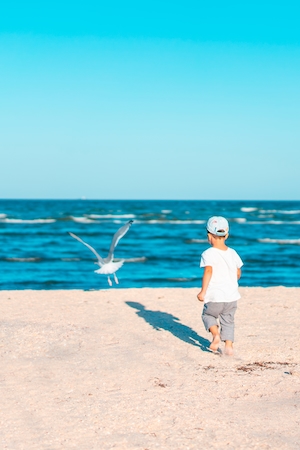 Маленький мальчик на морском берегу и чайка 