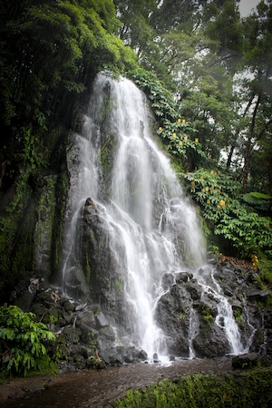 комплекс каскадных водопадов в лесу 