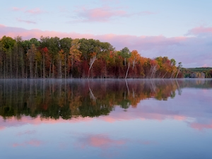 Осенний лес у озера, отражение леса в воде озера, озеро во время заката 