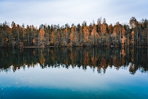 Лес у озера, отражение леса в воде озера, озеро днем, осенний лес 