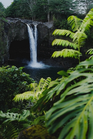 водопад в окружении зеленых растений 