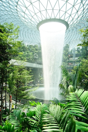аэропорт Сингапура, большой водопад в ботаническом саду, много зеленых растений 