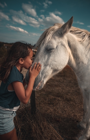 ребенок целует белую лошадь 