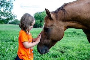 ребенок и коричневый конь