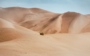 песчаная дюна, пески в пустыне, пейзаж в пустыне