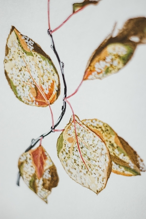 листья, нарисованные красками 