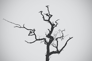 Черно-белая фотография дерева в минималистичном стиле от Милы Товар.