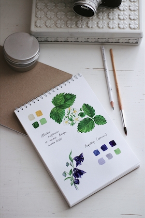 готовый акварельный рисунок фиолетовых цветов и зеленого растения 