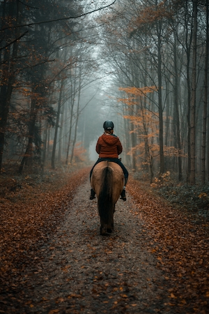Девушка едет верхом на лошади в мрачном осеннем лесу
