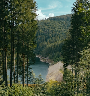 деревья, горное озеро, фото зеленого леса сверху 