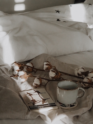 Послеобеденный кофе в постель , ветка хлопка и книга 