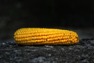 кукуруза на темном фоне 