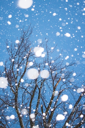 Снег, падающий перед деревом