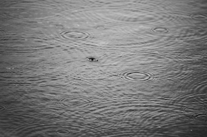 Капли дождя, падающие на поверхность воды, оставляют красивую круговую рябь, с моментом удара капли о поверхность, монохромный снимок 