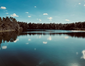 Отражающее озеро с деревьями. Лес у озера, отражение леса в воде озера, озеро днем