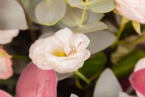 Кольцо с бриллиантом на белой розе