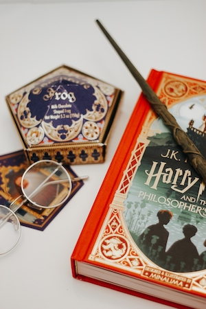 атрибутика Гарри Поттера, очки, палочка, книга и сладости 