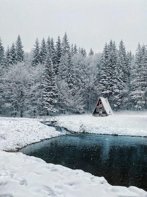 небольшая деревушка у подножия гор в заснеженном лесу у озера 