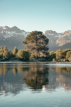 горное озеро, смешанный лес в предгорье, отражение леса и гор в воде 