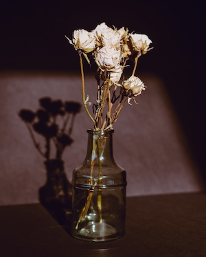 Засушенные цветы в стеклянной вазе с тенью