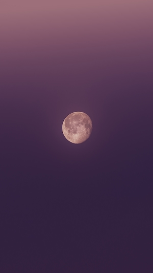 полная луна оранжевого цвета на фиолетовом небе 
