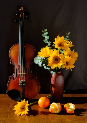 Натюрморт, ваза с цветами, скрипка и цитрусовые 
