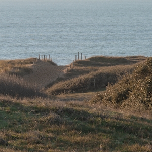 неоднородное поле на побережье, вид на море за полем 