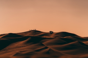 Силуэт туристов и их гида в пустыне